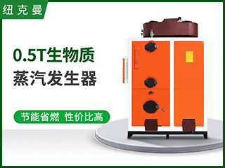 500kg生物質(zhì)蒸汽發(fā)生器