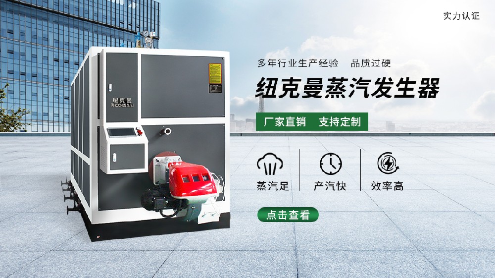 小型蒸汽發(fā)生器鍋爐 高效節(jié)能 廠家直供 品質(zhì)保障